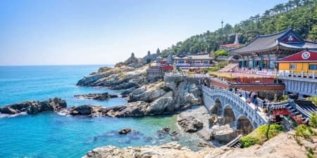 TOUR HÀN QUỐC MÙA THU 6N5Đ | HÀ NỘI - BUSAN - SEOUL - ĐẢO NAMI - INCHEON - ĐI PHÀ CHO HẢI ÂU ĂN