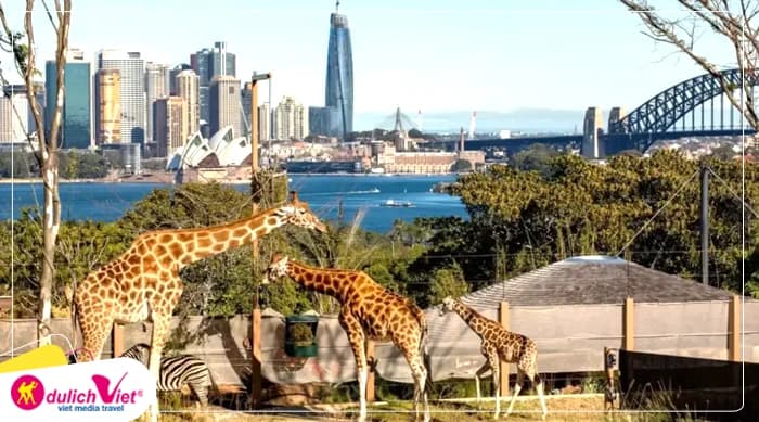 Tour Úc Mùa Đông 5N4Đ | Sydney - Một Ngày Tự Do (Bay Jetstar Úc)