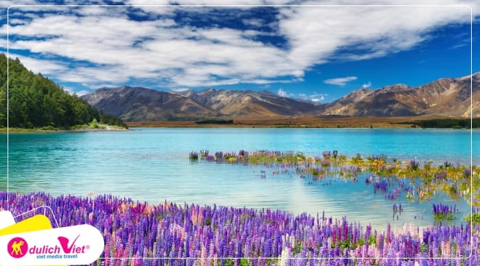 TOUR NEW ZEALAND MÙA XUÂN 10N9Đ | AUCKLAND - MATAMATA - ROTORUA - WAITOMO - QUEENSTOWN - MILFORD SOUND - MT COOK - TEKAPO - CHRISTCHURCH