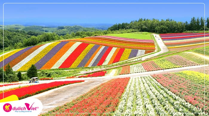 Tour Nhật Bản Mùa Thu 6N6Đ | Asahikawa - Sapporo - Noboribetsu (Bay Japan Airlines)