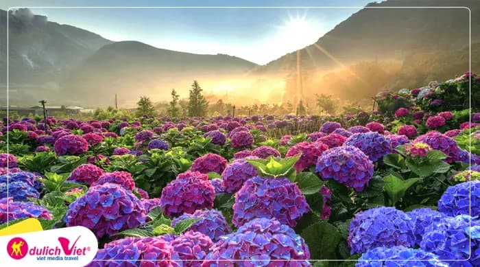 Tour Nha Trang – Đà Lạt 2N1Đ | Khám Phá Thành Phố Ngàn Hoa