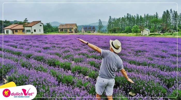 Tour Nha Trang – Đà Lạt 2N1Đ | Khám Phá Thành Phố Ngàn Hoa
