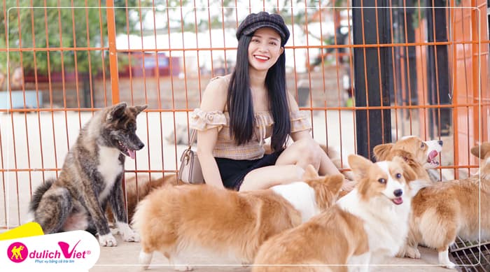 TOUR ĐÀ LẠT MÙA HÈ 3N3Đ | Quảng Trường Lâm Viên - Happy Hill - Puppy Farm