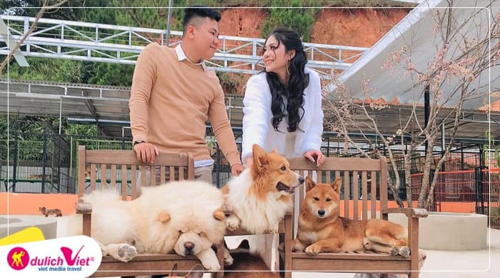 Tour Nha Trang - Đà Lạt 5N4Đ | Vịnh Nha Trang - Bãi Tranh - Vinwonders - Puppy Farm - Green Hill