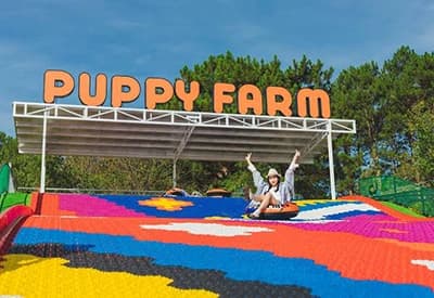 Tour Nha Trang - Đà Lạt 4N3Đ | VinWonders - Vịnh Nha Trang - Bãi Tranh - Puppy Farm - Green Hill