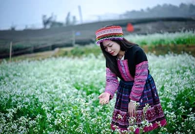 TOUR MIỀN BẮC LỄ 30/4 | MAI CHÂU - MỘC CHÂU - NINH BÌNH (4N3Đ)