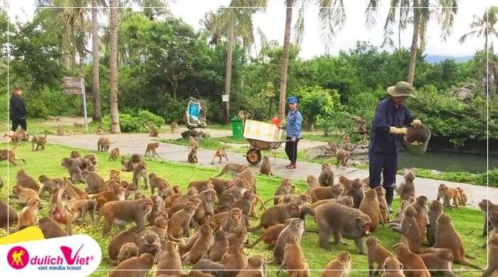 Tour Nha Trang 4N3Đ | Vinwonders - Bãi Tranh - Con Sẻ Tre - Đảo Hoa Lan - Đảo Khỉ