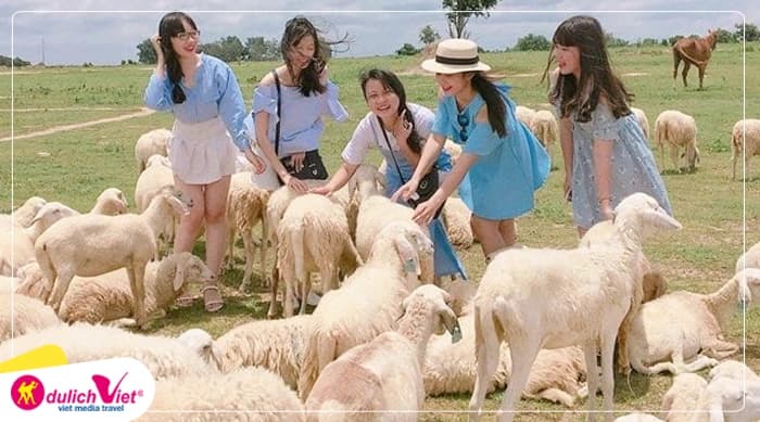 Tour Nha Trang 5N4Đ | VinWonders - Bãi Tranh - Con Sẻ Tre - Đảo Khỉ - Suối Hoa Lan - Hang Rái - Vĩnh Hy