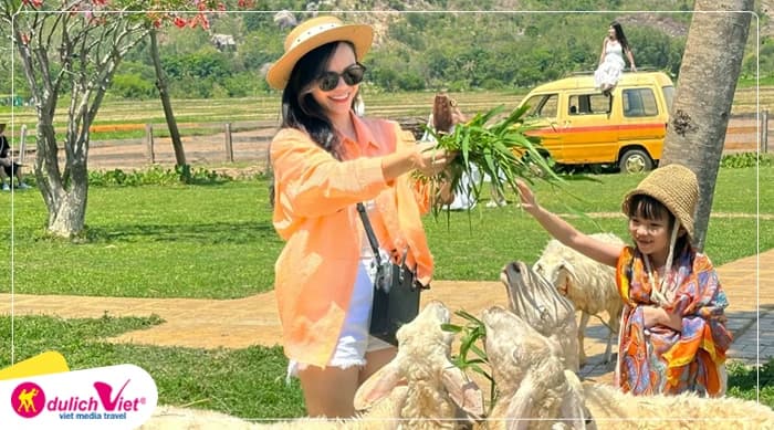 Tour Nha Trang - Vĩnh Hy 4N3Đ | Bãi Tranh - Con Sẻ Tre - Đồng Cừu - Hang Rái