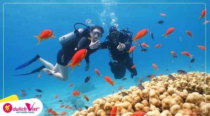 Tour Nha Trang 3N3Đ | VinWonders - Bãi Tranh - Nhà Yến - Tháp Bà - Tắm Bùn