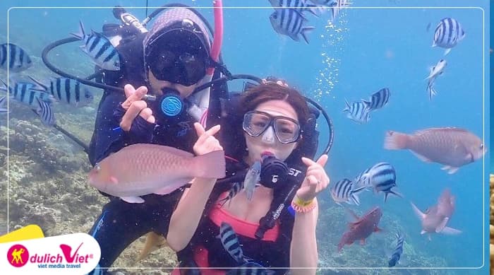 Tour Nha Trang 3N3Đ | VinWonders - Bãi Tranh - Nhà Yến - Tháp Bà - Tắm Bùn