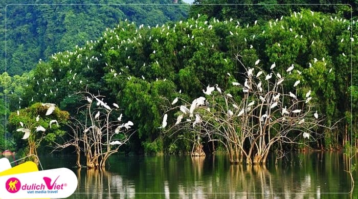 Tour Ninh Bình 2N1Đ | Hoa Lư - Tam Cốc - Hang Múa - Bích Động Thung Nham