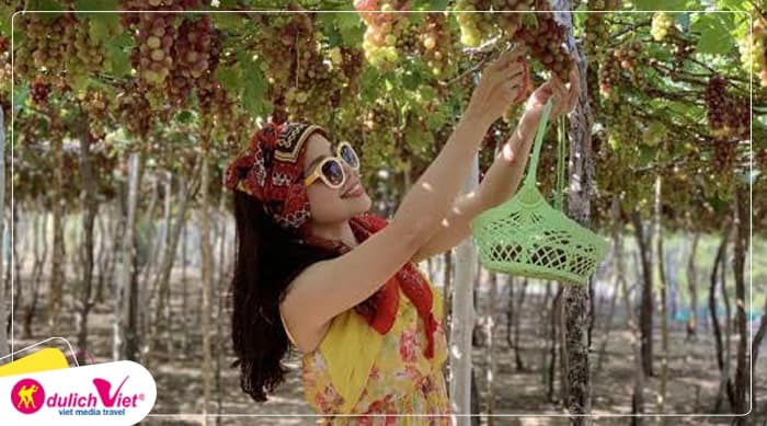 Tour Nha Trang - Ninh Thuận 4N3Đ | VinWonders - Vịnh Nha Trang - Hang Rái - Tanyoli