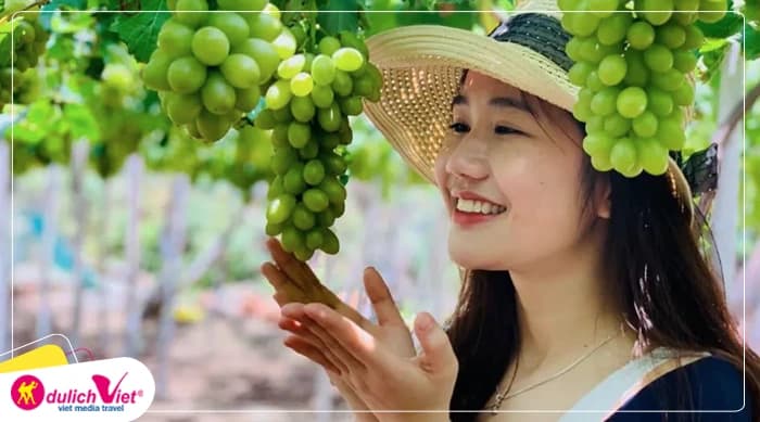Tour Nha Trang - Ninh Thuận 4N3Đ | VinWonders - Vịnh Nha Trang - Hang Rái - Tanyoli