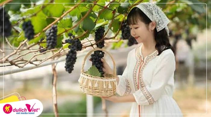 Tour Nha Trang - Ninh Thuận 4N3Đ | VinWonders - Vịnh Nha Trang - Hang Rái - Tanyoli