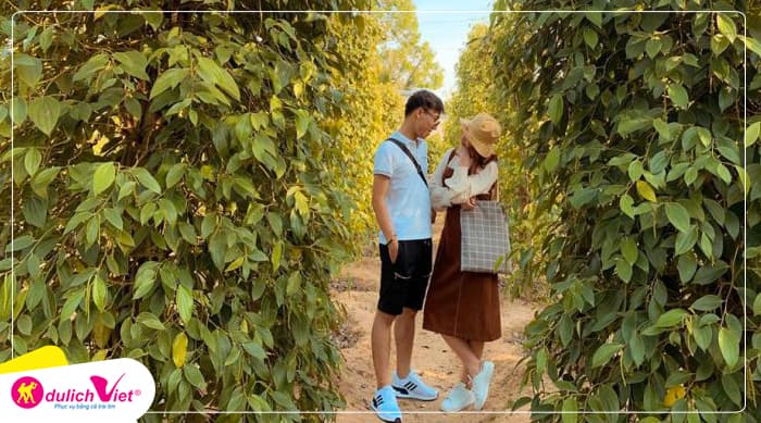 TOUR PHÚ QUỐC TẾT DƯƠNG LỊCH 3N2Đ | GRAND WORLD - VINWONDERS - SAFARI - CÁP TREO HÒN THƠM
