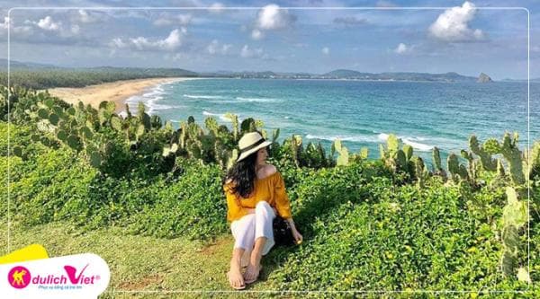 Tour Phú Yên 1 Ngày | Hoa Vàng Trên Cỏ Xanh