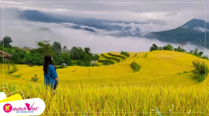 Tour Miền Bắc 3N2Đ | Hoàng Su Phì - Chiêu Lầu Thi - Cốc Pài - Bắc Hà