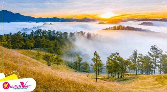 Tour Đà Lạt 1 Ngày | Tour Đà Lạt Thông Reo