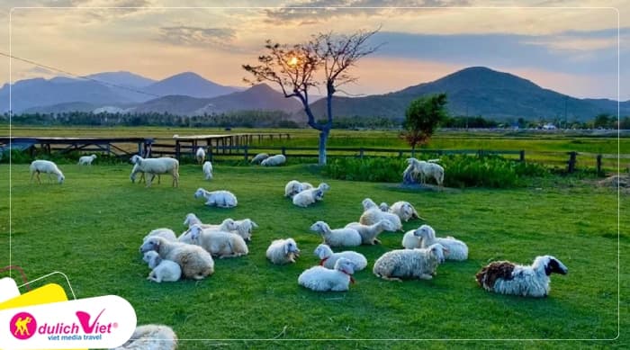Tour Đà Lạt - Nha Trang 6N5Đ | Thành Phố Hoa Biển