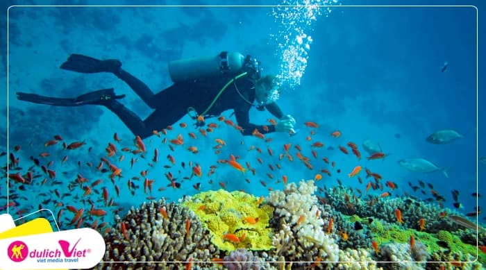 Tour Nha Trang 1 Ngày | Tour Lặn Bình Dưỡng Khí