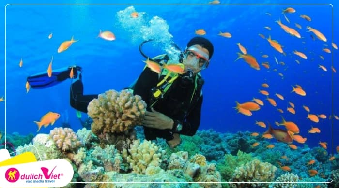 Tour Nha Trang 1 Ngày | Hòn Mun - Làng Chài - Mini Beach