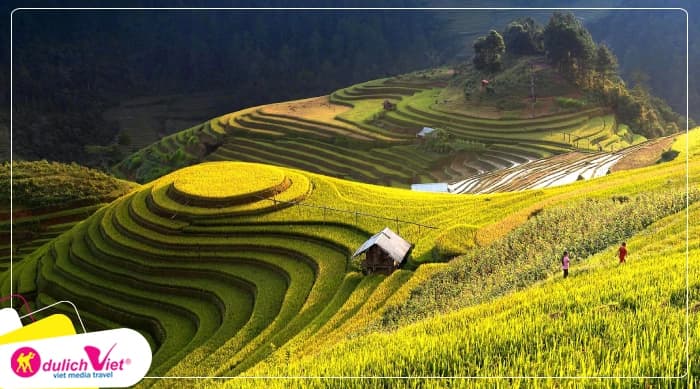 Tour Tây Bắc 2N1Đ | Hà Nội - Mù Cang Chải (Mùa lúa)