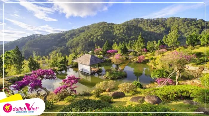Tour Đà Lạt 1 Ngày | Tour Check In Cùng Hoa