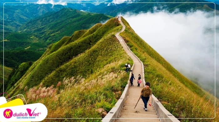 Tour Bình Liêu 2N1Đ | Hà Nội - Bình Liêu - Thiên Đường Cột Mốc (Mùa cỏ lau)