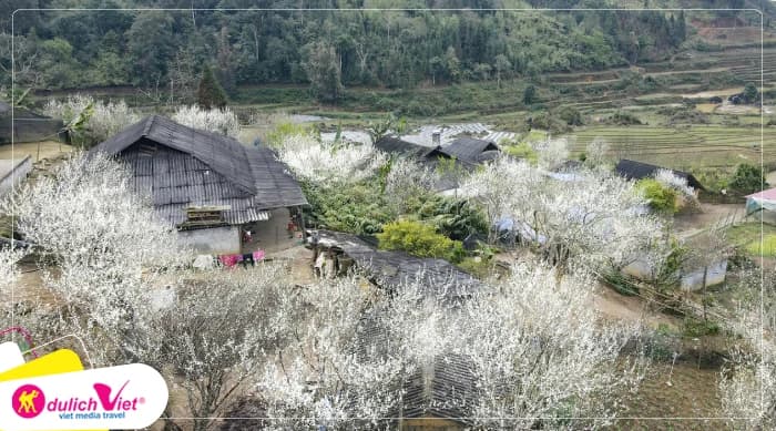Tour Lào Cai 2N1Đ | Hà Nội - Bắc Hà - Tả Van Chư - Dinh Thự Hoàng A Tưởng