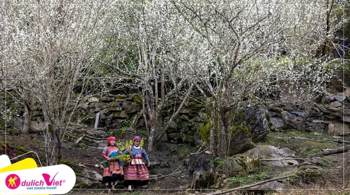 Tour Lào Cai 2N1Đ | Hà Nội - Bắc Hà - Tả Van Chư - Dinh Thự Hoàng A Tưởng