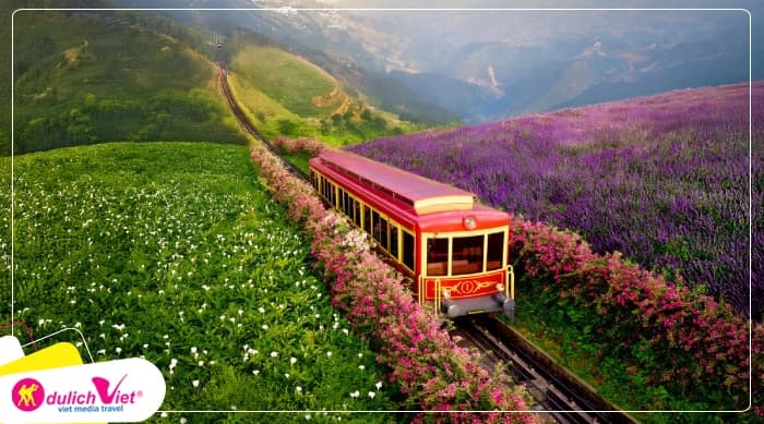 Tour Sapa 3N2Đ | Sapa - Cát Cát - Hàm Rồng - Cáp Treo Fansipan
