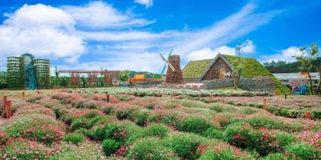 Tour Đà Lạt 1 Ngày | Tour Check In Cùng Hoa