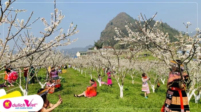 Tour Lào Cai 2N1Đ | Hà Nội - Bắc Hà - Tả Van Chư - Dinh Thự Hoàng A Tưởng