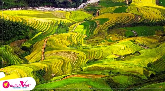 Tour Tây Bắc 2N1Đ | Hà Nội - Mù Cang Chải (Mùa lúa)