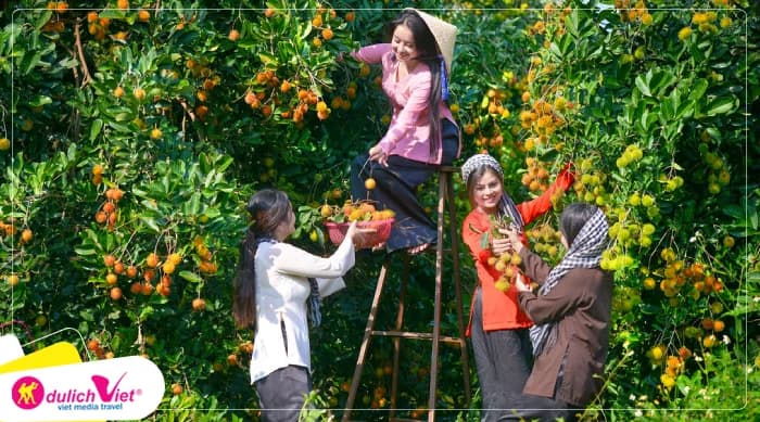Tour Cần Thơ | Du Lịch Cộng Đồng Cồn Sơn
