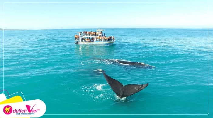 Tour Nam Phi Mùa Xuân 9N8Đ | Khám Phá Nam Phi Hoang Dã - Vùng Đất Cầu Vồng 2026
