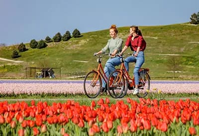 TOUR CHÂU ÂU MÙA XUÂN 9N8Đ | ĐỨC - HÀ LAN - BỈ - PHÁP - THỤY SĨ - Ý