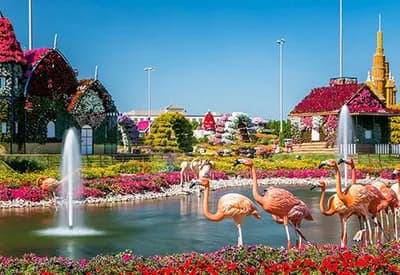 TOUR BRUNEI - DUBAI - ABU DHABI MÙA THU 6N5Đ | Sa Mạc Safari Trung Đông