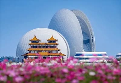 Tour Hồng Kông Mùa Xuân 5N4Đ | Chu Hải - Thẩm Quyến - Quảng Châu (Bay Vietnam Airlines)