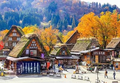 Tour Nhật Bản Mùa Thu 4N3Đ | Làng Cổ Shirakawago - Shiga - Kyoto - Osaska