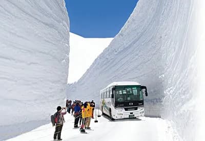 TOUR NHẬT BẢN MÙA HÈ 5N5Đ | CUNG ĐƯỜNG TUYẾT TATEYAMA - PHÚ SĨ - TOKYO