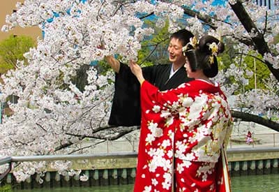 TOUR NHẬT BẢN MÙA HOA ANH ĐÀO 5N5Đ | OSAKA - KYOTO - YAMANASHI - FUJI - TOKYO (Tour No Shopping)