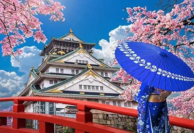 TOUR NHẬT BẢN MÙA HOA ANH ĐÀO 5N5Đ | OSAKA - KYOTO - FUJI - TOKYO