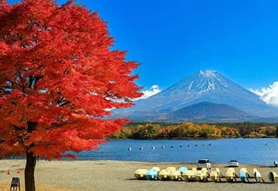 Tour Nhật Bản mùa Thu 5N4Đ | Osaka - Kyoto - Phú Sĩ - Tokyo (Bay Vietnam Airlines)
