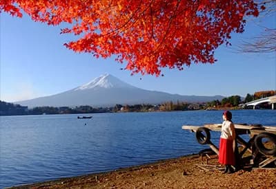 Tour Nhật Bản Mùa Thu 5N5Đ | Osaka - Kyoto - Làng Cổ Shirakawago - Fuji - Tokyo