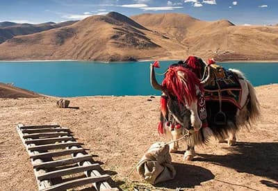 TOUR TÂY TẠNG MÙA HÈ 7N6Đ | LÂM CHI - LHASA - SHIGATSE