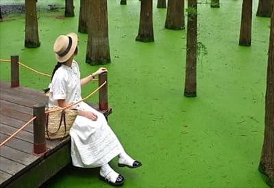 Tour Trung Quốc mùa Đông 7N6Đ | Bắc Kinh - Hàng Châu - Tây Ô Trấn - Thượng Hải (Tour No Shopping)