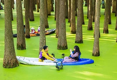 Tour Trung Quốc mùa Đông 5N5Đ | Thượng Hải - Tây Ô Trấn - Hàng Châu - 1 Ngày Tự Do (Tour No Shopping)