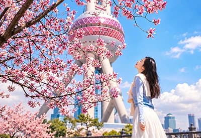 Tour Trung Quốc mùa Xuân 5N5Đ | Thượng Hải - Tây Ô Trấn - Hàng Châu - 1 Ngày Tự Do (Tour No Shopping)